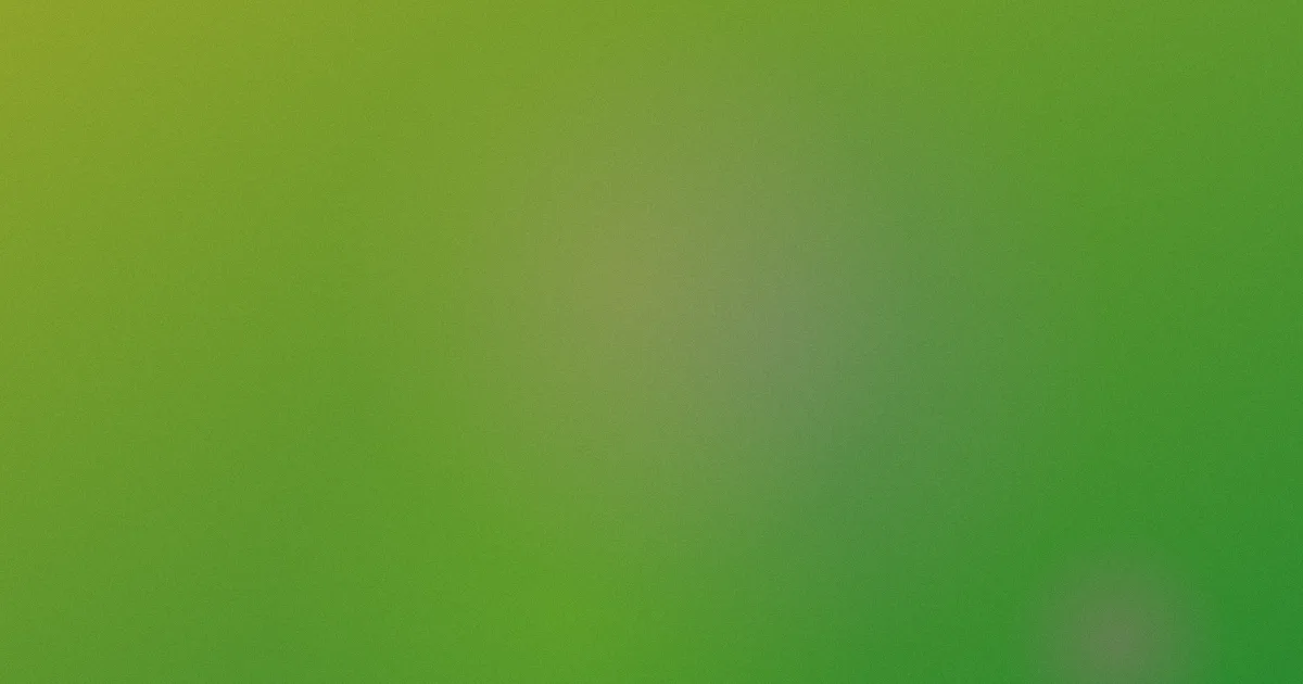四虎91推荐：新手先看这份清单